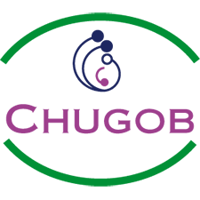 logo chugob footer